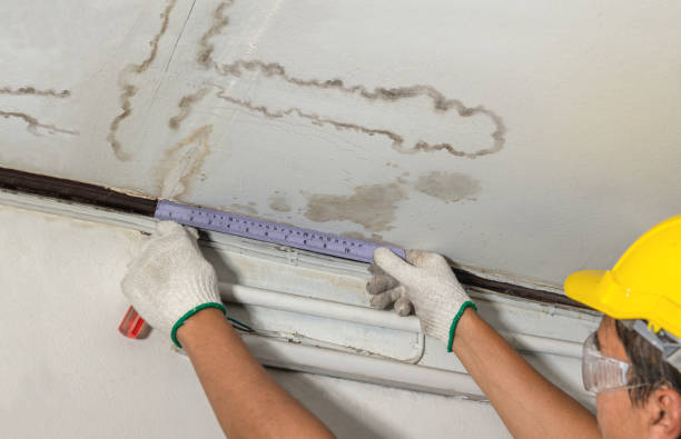 Reliable Basement Water Removal contractor in Lakeville, MA by Water Damage Irwin